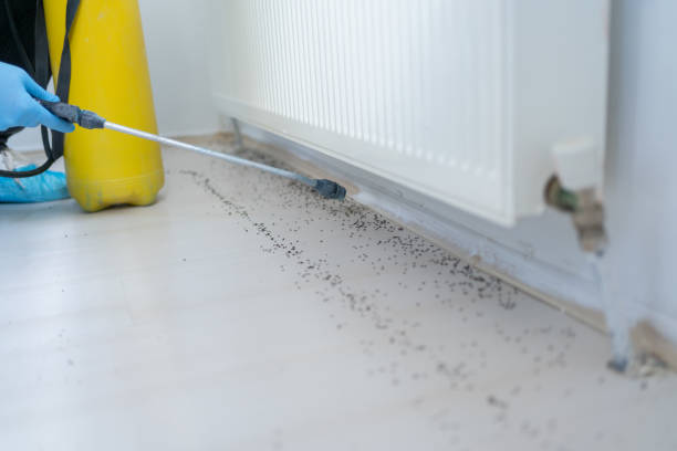 Best Pest Prevention Services  in Century, FL